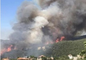 حرائق لبنان